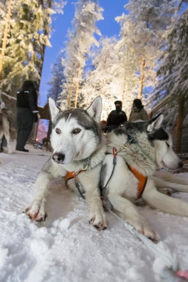 Отель Arctic Fox Igloos Рануа-25